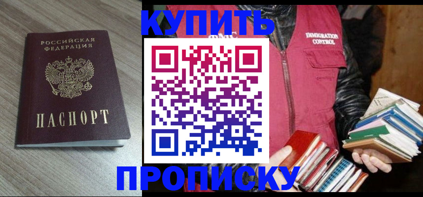 прописка 2025 в Новозыбкове